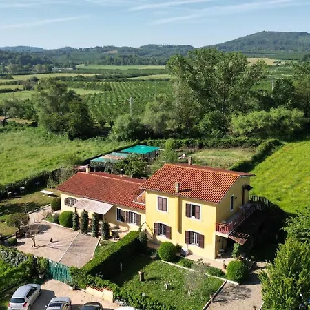 Life Bed & Breakfast